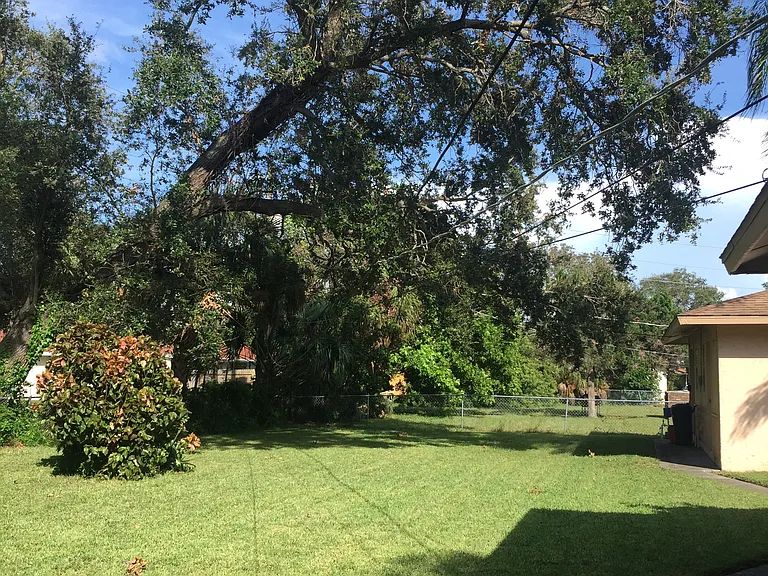Backyard