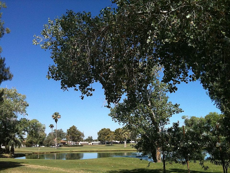 picture taken from the side yard