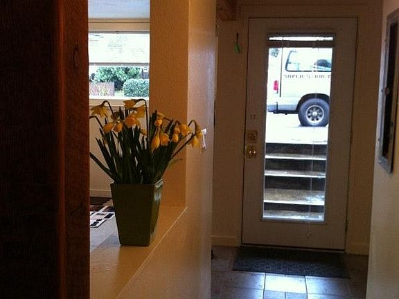 Front door and hallway