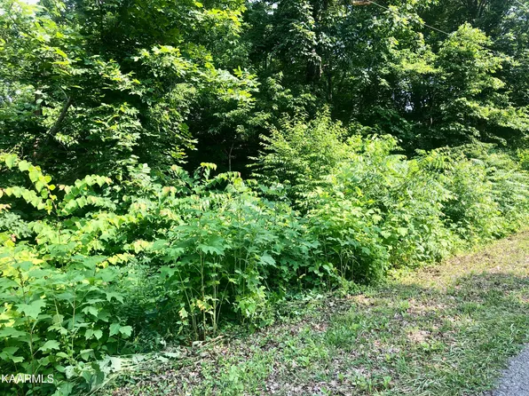 Pine Hollow Rd, Jacksboro, TN 37757