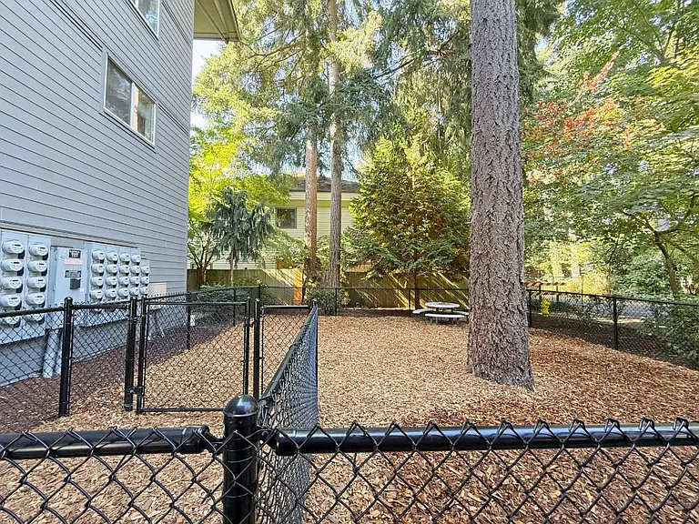 Dog Park