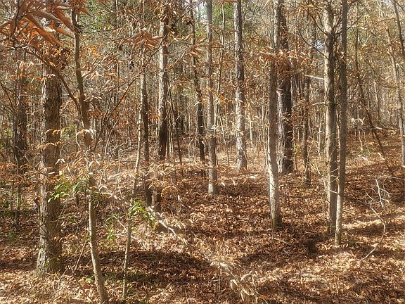 4th image of 0 Pleasant Hill Rd