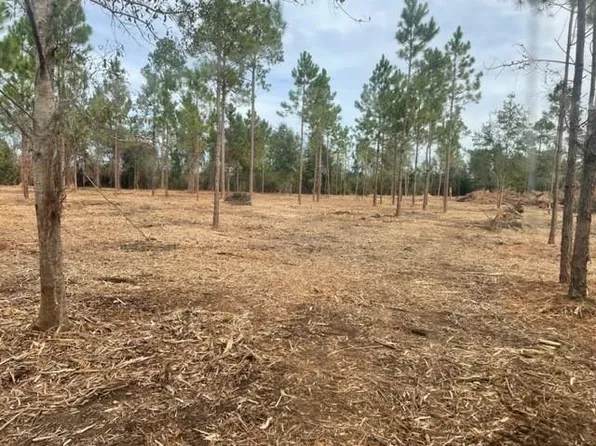 26065 County Road 55, Loxley, AL 36551