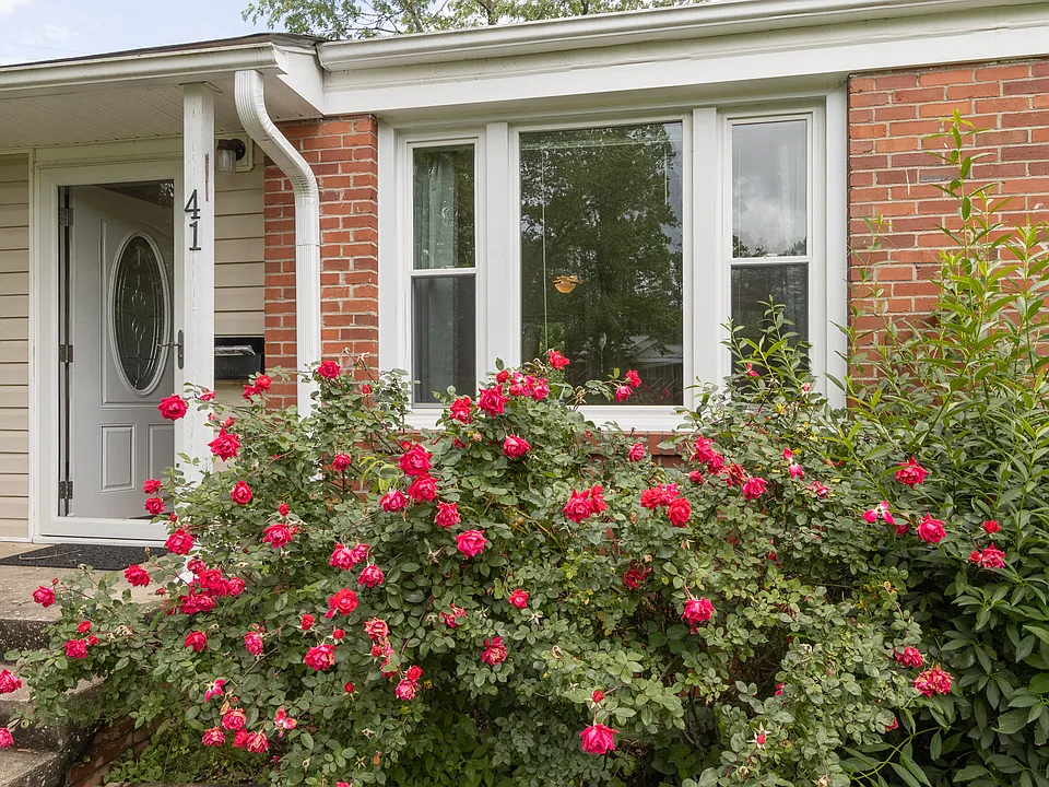 41 Trowbridge Ln
