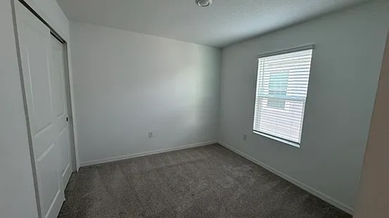 4520 Ranunculus St — Photo 13