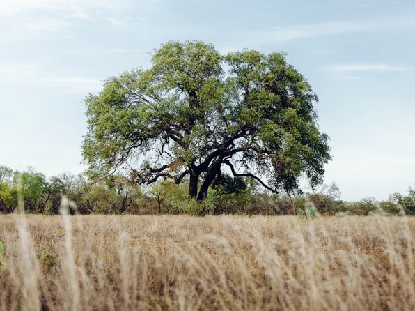 10 NOBLE ROWS W 290 Hwy LOT 3, Johnson City, TX 78636