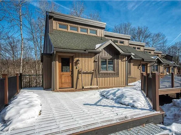 1 Plum Rd, Ellicottville, NY 14731