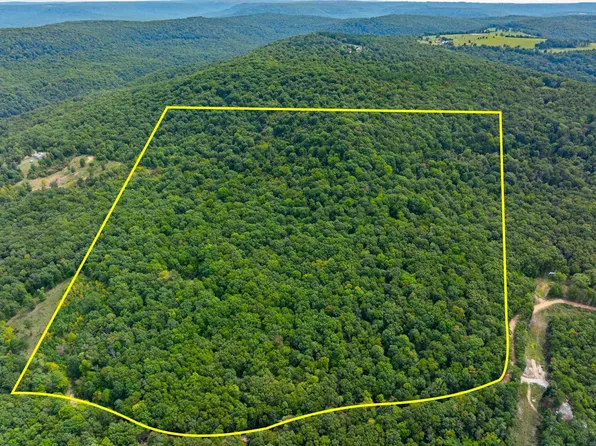 961 County Rd, Green Forest, AR 72638