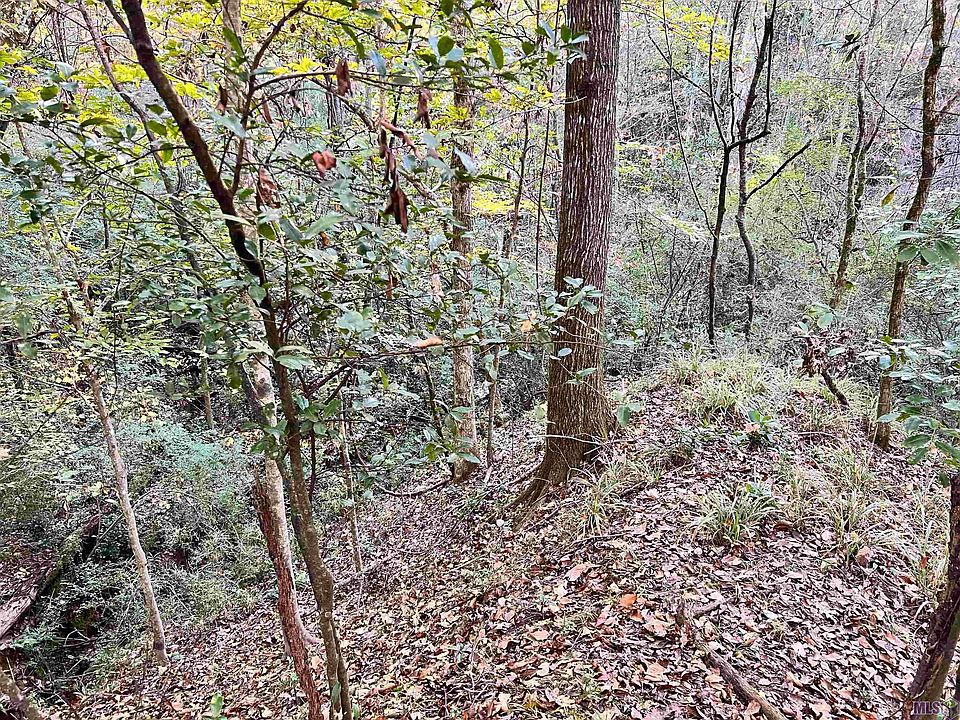 2nd image of 9106 Airport Rd