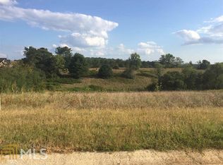 1007 Wind Dance Ct, Demorest, GA 30535