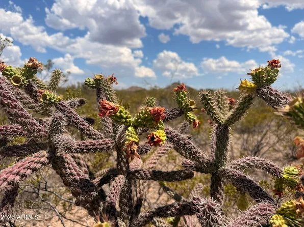 Lot 121 Valley Springs -- #121, Douglas, AZ 85607