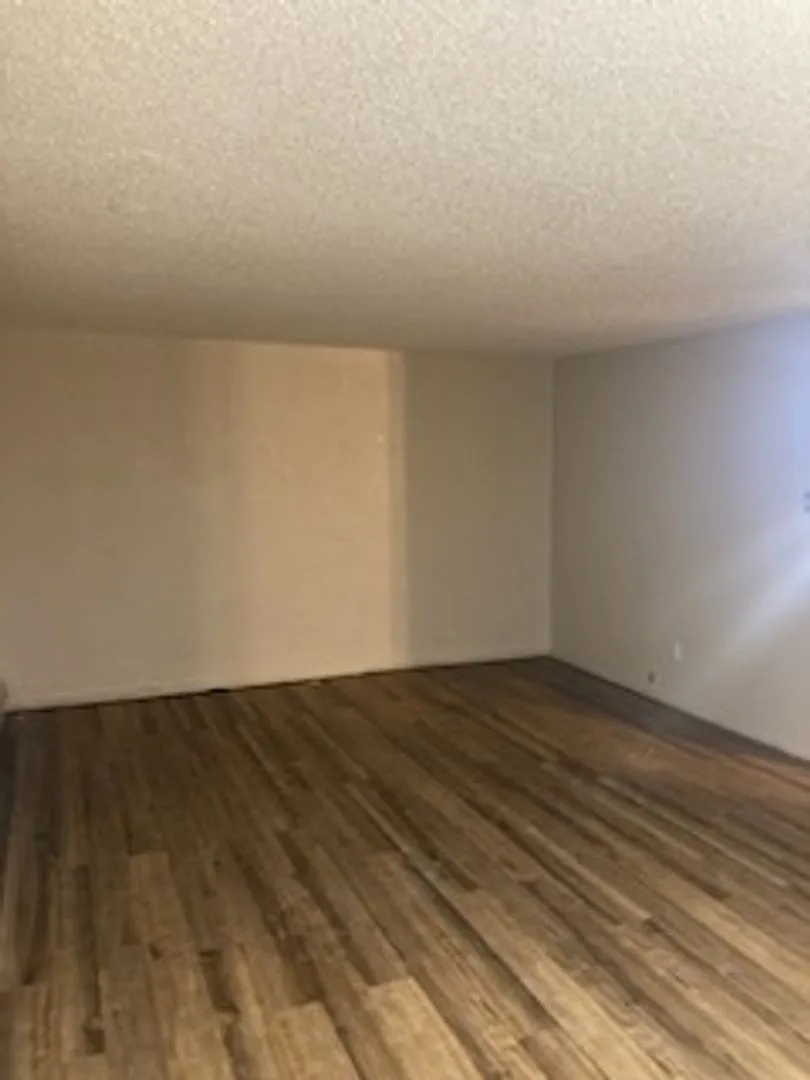 Spacious 2 Bedroom Condo — Photo 4