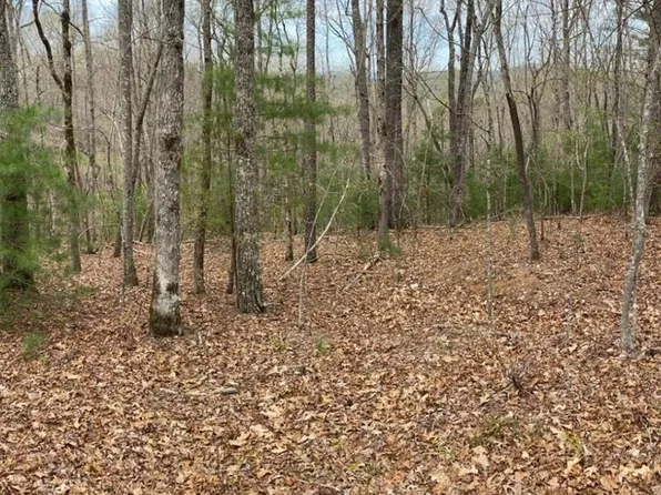 4 Oak Crest Dr, Morganton, GA 30560