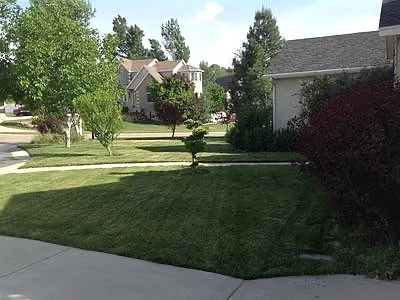 12084 S Allison Park Ct #2 — Photo 3