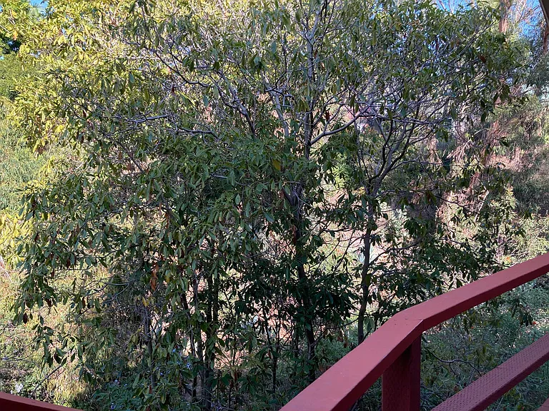 Private Canyon