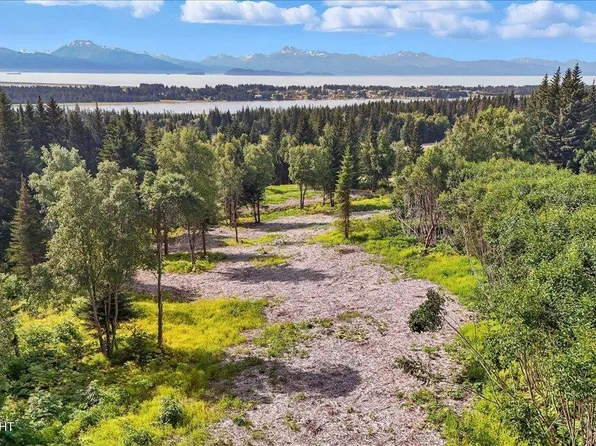 4430 E Hill Rd, Homer, AK 99603