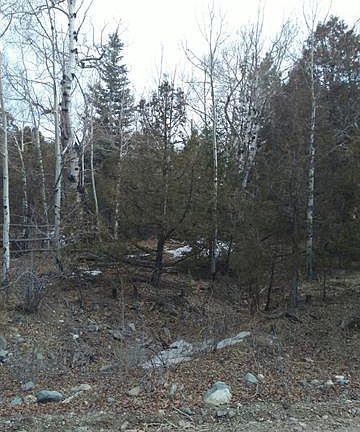 3rd image of 106 Canyon Ln
