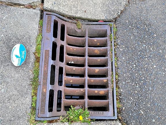 5th image of 24288 SE 9th St