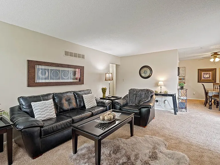Large Carpeted Living Room