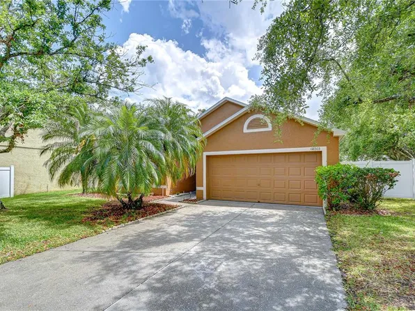 18303 Elmhurst Ln, Tampa, FL 33647