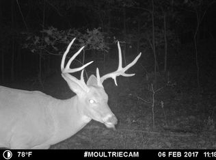 249 Rr 1, Cave In Rock, IL 62919