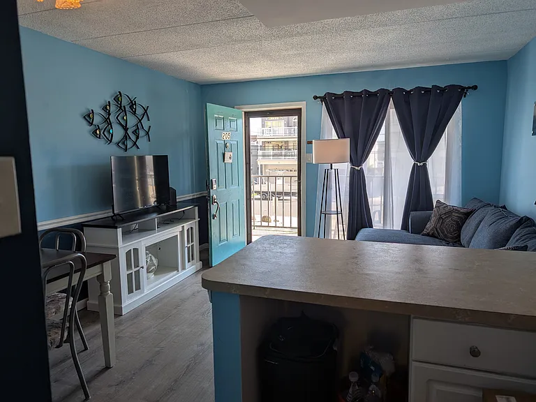 504 E 17th Ave #205 — Photo 2