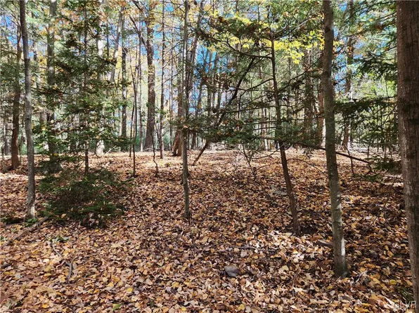Mongul Cir Lot 25, Henryville, PA 18332