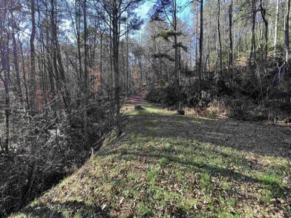 0 Maple Rest Ln #14&15, Ellijay, GA 30540