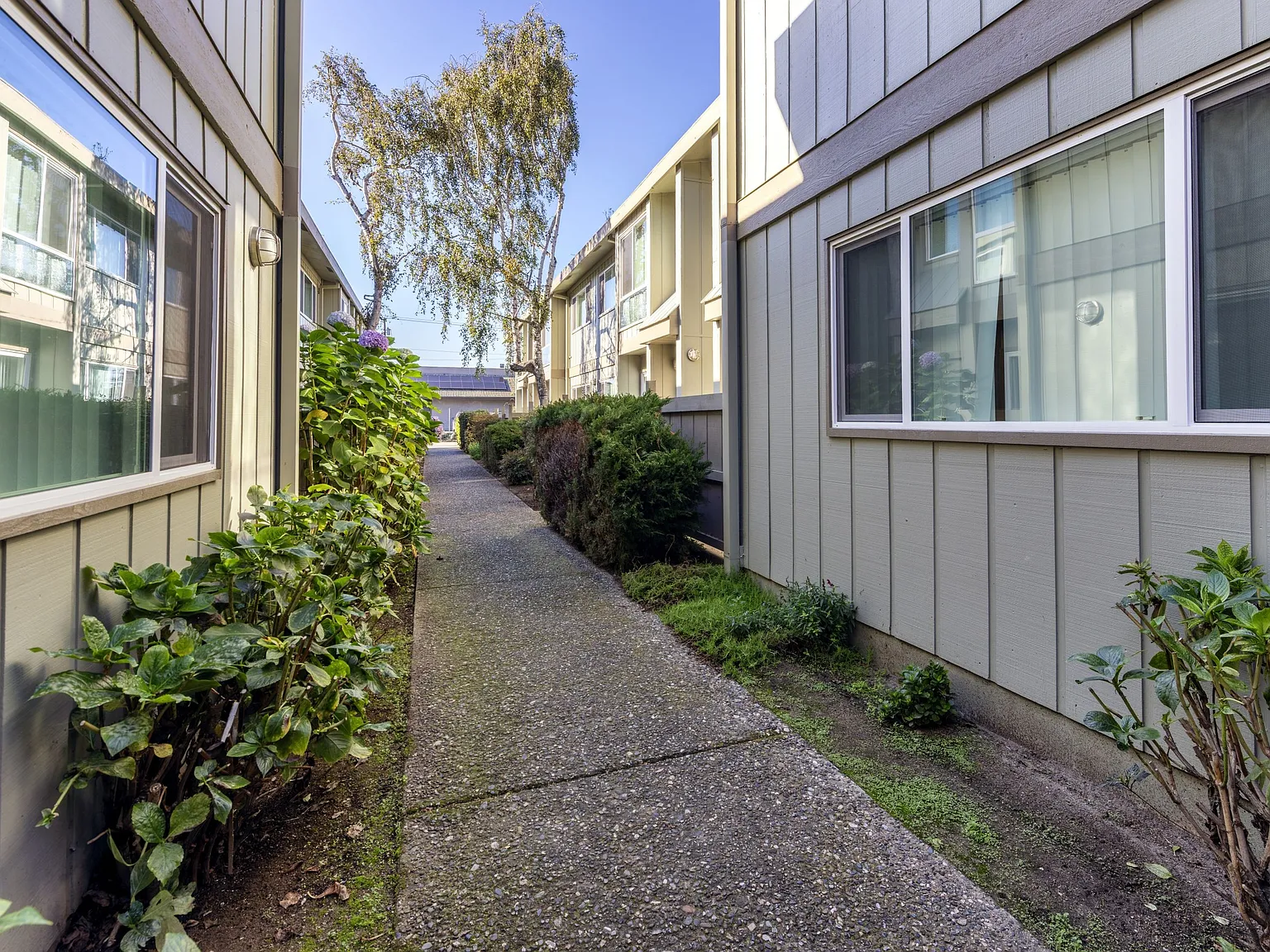 Village View Apartments — Photo 4