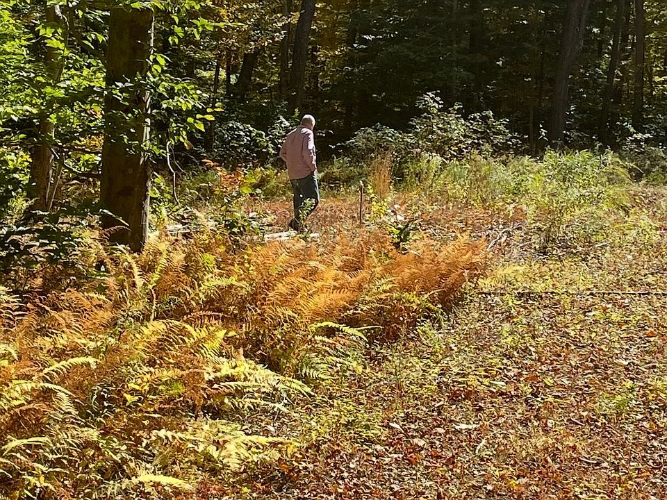 2nd image of Brook Road lot 4