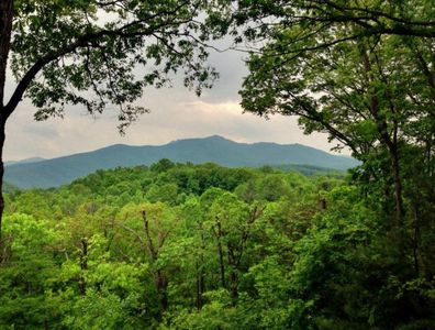 502 Mistletoe Ln #1-2, Blowing Rock, NC, 28605