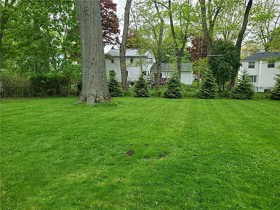 5th image of 125 Sydenham Rd