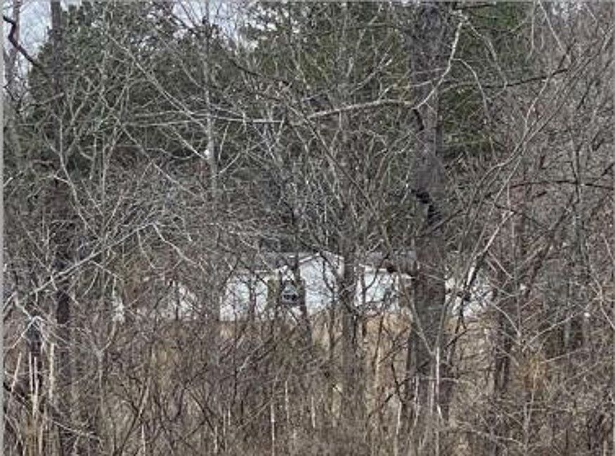 360 Diamond Grove Rd, Beech Bluff, TN 38313 Zillow