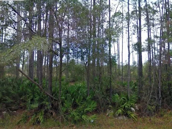 NE 65th Ave Lot 1, Citra, FL 32113