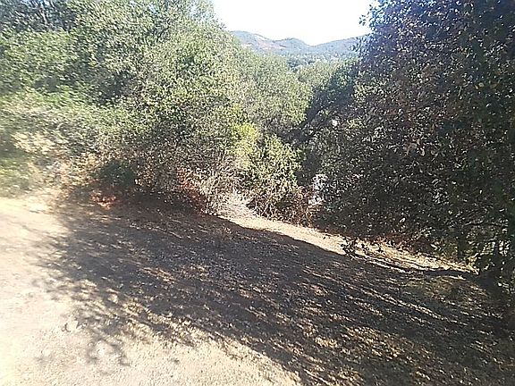 Dry grasses are weedwhacked.