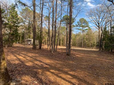 1600 An County Rd #478, Frankston, TX, 75763