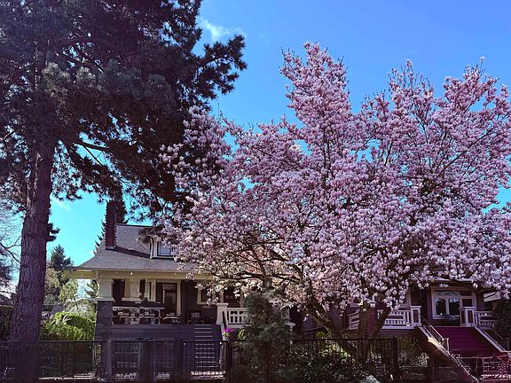 5th image of 3044 Point Grey Rd