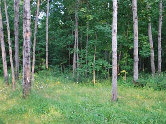 2nd image of 9925 E Sipple Rd