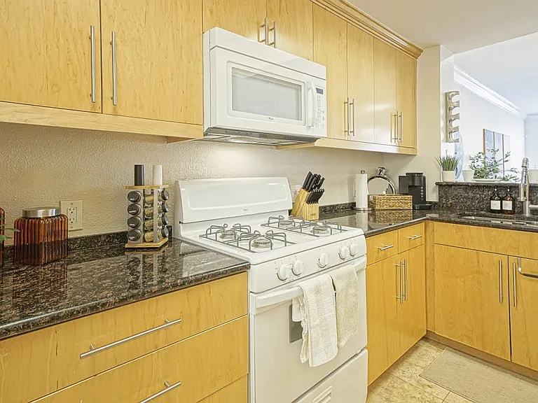 260 E Flamingo Rd #205 — Photo 11