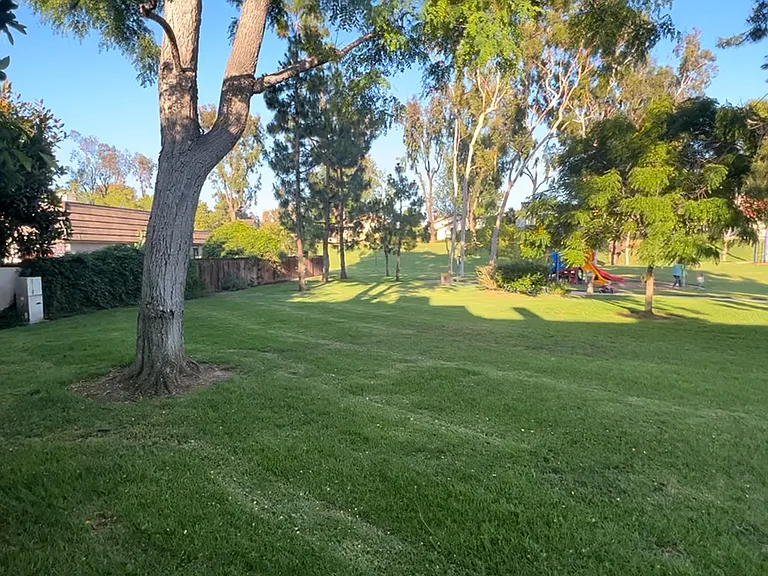 Rockrose Way — Photo 2