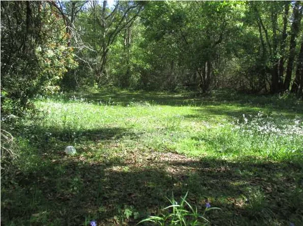 2810 Old Shell Rd, Mobile, AL 36607