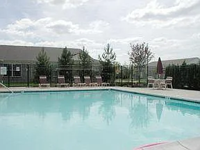 Sparkling Swimming Pool