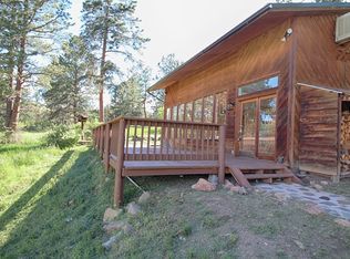 135 Meadow Dr, Bailey, CO 80421