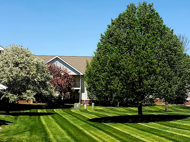 Park Ridge Apartments — Photo 13