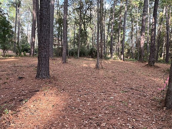 5th image of 107 Whispering Woods Cv