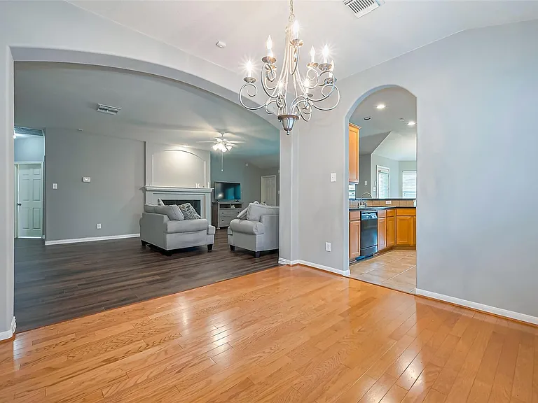 1007 Casting Springs Way — Photo 17