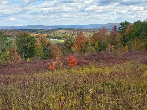 11.00 Hardknocks Rd, Unadilla, NY 13849