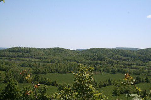View of West side of property from Hwy. 65