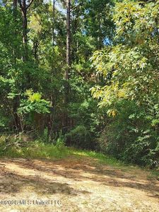 16509 McGregor Rd, Vancleave, MS, 39565