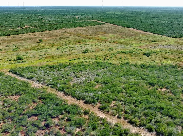 TRACT 8 (47.77) San Pablo Rd, Bruni, TX 78344